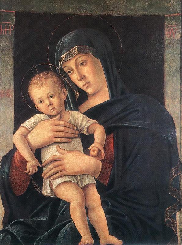 BELLINI, Giovanni Madonna with the Child (Greek Madonna) Norge oil painting art
